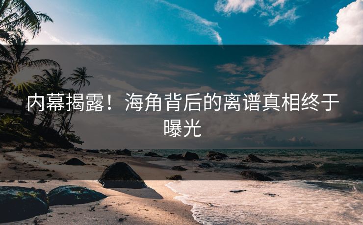 内幕揭露！海角背后的离谱真相终于曝光