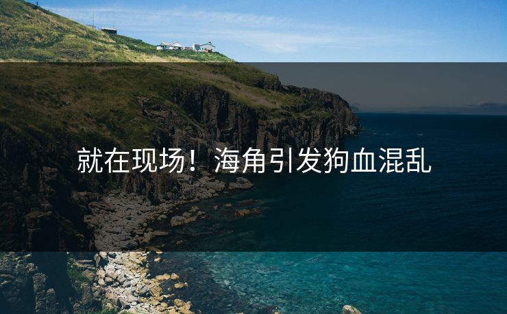 就在现场！海角引发狗血混乱