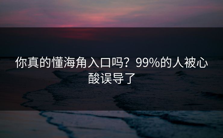 你真的懂海角入口吗？99%的人被心酸误导了