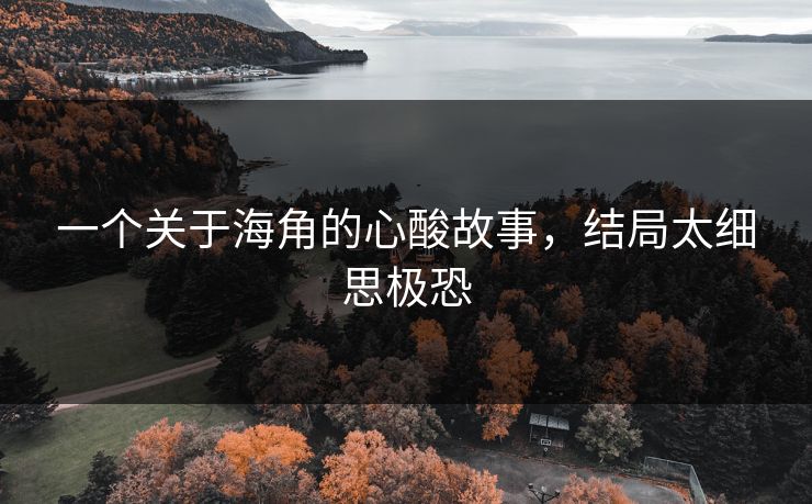 一个关于海角的心酸故事，结局太细思极恐