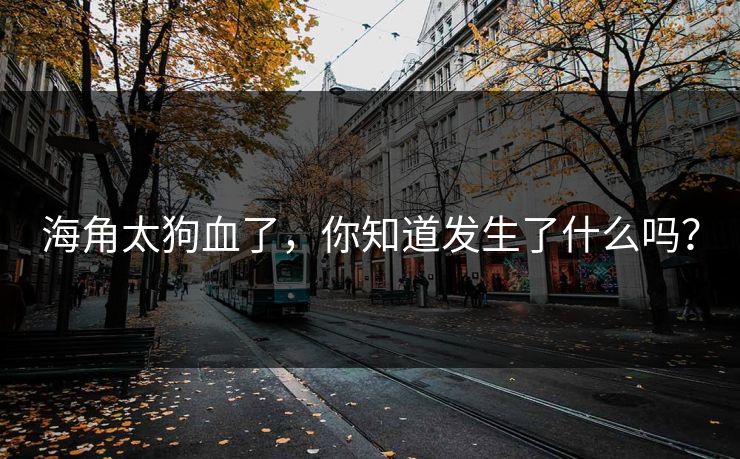 海角太狗血了，你知道发生了什么吗？