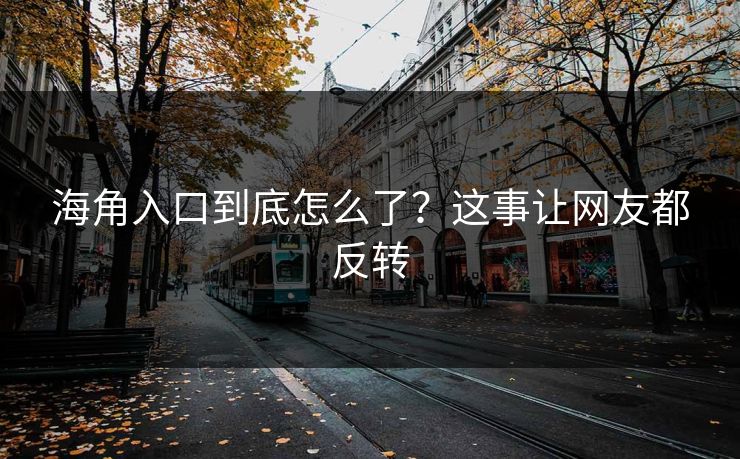 海角入口到底怎么了？这事让网友都反转