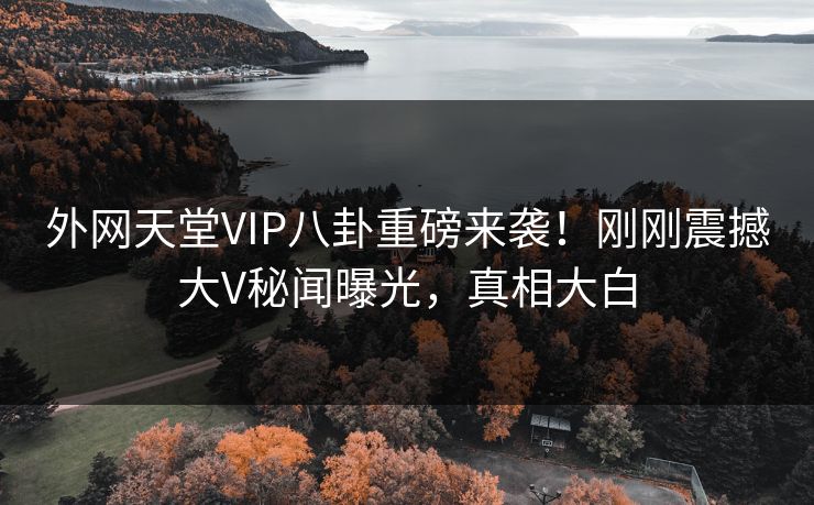 外网天堂VIP八卦重磅来袭！刚刚震撼大V秘闻曝光，真相大白