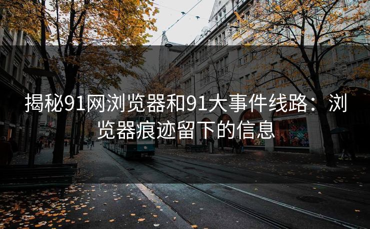 揭秘91网浏览器和91大事件线路：浏览器痕迹留下的信息